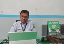Dinkes Baubau: Kasus Pasung ODGJ Turun dari 10 Menjadi 2 Kasus
