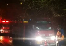 Kebakaran Lahan Meningkat, Damkar Baubau Kerahkan Personel di Lima Lokasi