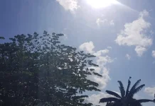 Prakiraan Cuaca Sulawesi Tenggara 19 September 2026