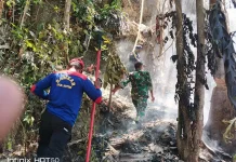 Bakar Daun Kering, Satu Hektare Lahan Warga di Busel Terbakar