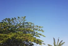 Prakiraan Cuaca Sulawesi Tenggara 20 September 2026
