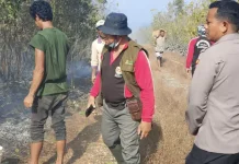Karhutla di Wabula, 1,5 Hektare Lahan Perkebunan Terbakar