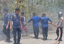 Karhutla Dua Hektare di Sampolawa Berhasil Dipadamkan