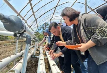 Dukung Ketahanan Pangan Nasional, PNM Cabang Baubau Resmikan Rumah Pangan