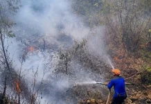 Pembakaran Lahan tanpa Pengawasan Picu Kebakaran di Sejumlah Wilayah Baubau