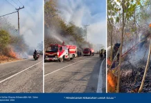Dua Hari, Damkar Baubau Tangani 10 Kejadian Kebakaran dan Penyelamatan