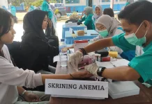 Cegah Stunting dari Remaja, Pemprov Sultra Perkuat Aksi Bergizi di Pulau Buton