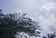 Prakiraan Cuaca Sulawesi Tenggara 7 Oktober 2026