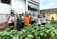 Panen 21 Kg Terong, Lapas Baubau Dorong Premi WBP dan Setoran PNBP
