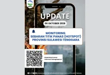 BMKG Catat 572 Titik Panas Terdeteksi di Sulawesi Tenggara