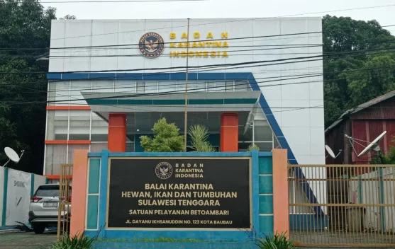 Baubau Nihil Lalu Lintas Ternak melalui Pintu Resmi