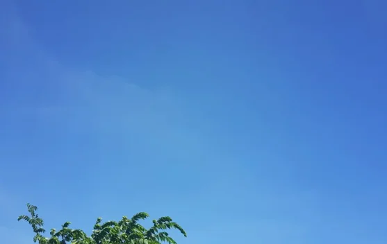 Prakiraan Cuaca Sulawesi Tenggara 02 Maret 2026