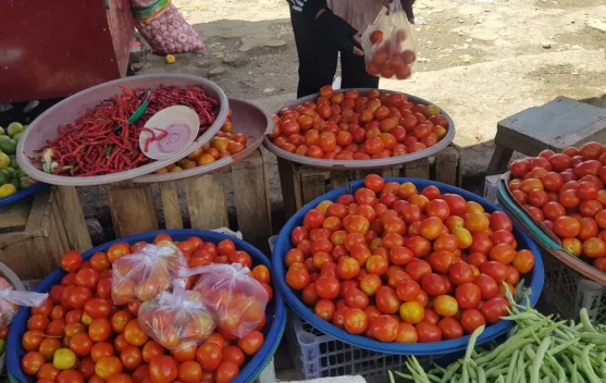 Harga Tomat Melonjak, Daya Beli Warga Baubau Turun