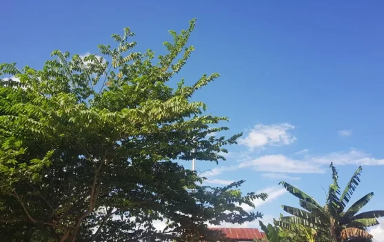 Prakiraan Cuaca Sulawesi Tenggara 27 Juni 2026