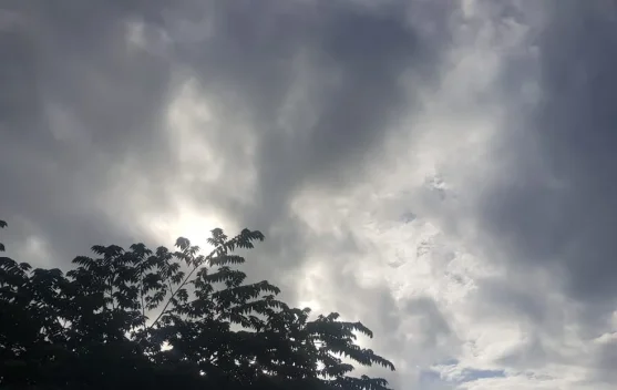 Prakiraan Cuaca Sulawesi Tenggara 18 Juli 2026