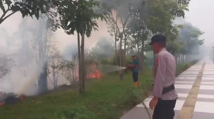 BPBD Siak Padamkan Kebakaran Lahan Tepi Jalan