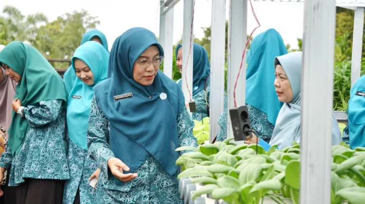 Ketua TP PKK Apresiasi Panen Hidroponik Perdana