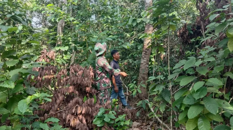 Babinsa Rupat Patroli Cegah Karhutla