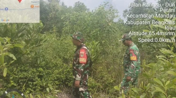 Babinsa Mandau  Patroli Titik Hotspot Karhutla Cegah Karhutla