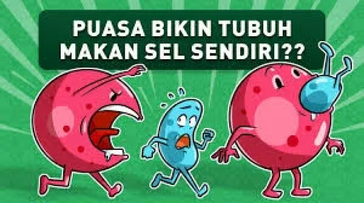 Autofagi, dan Esofagus : Mekanisme “Sel Memakan Bagian Tubuh yang Rusak" saat Puasa