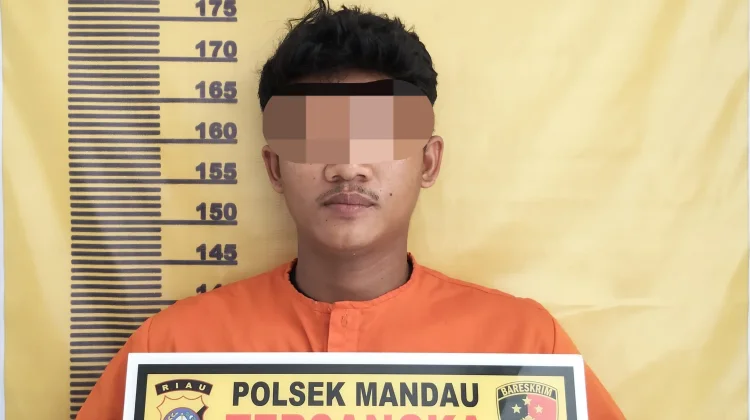 Polsek Mandau Ungkap Asusila Anak, Pelaku diamankan