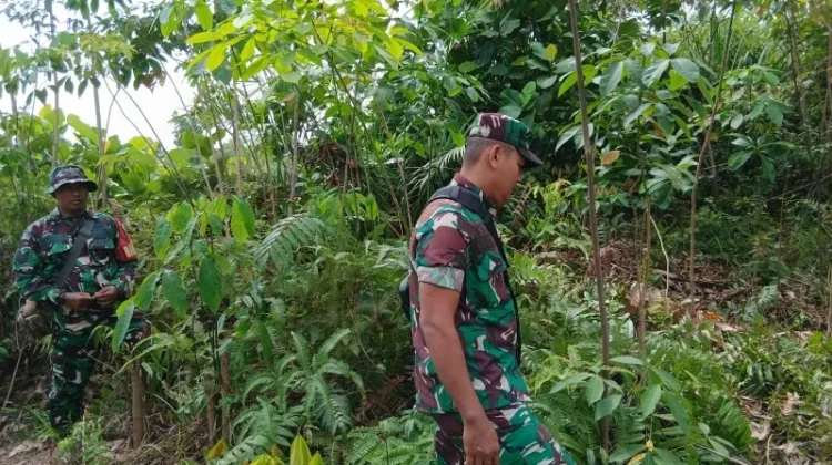 Patroli Rutin Babinsa Mandau Cegah Karhutla