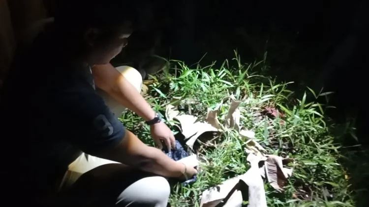 DPO Narkoba Rupat Ditangkap, 101 Gram Sabu Disita