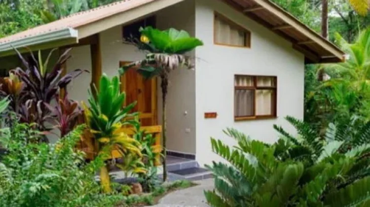 Cara Membuat Rumah Terasa Sejuk Tanpa AC