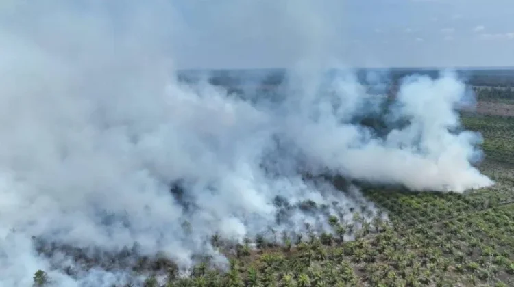 Karhutla Ancam Cagar Biosfer Giam Siak Kecil Bengkalis