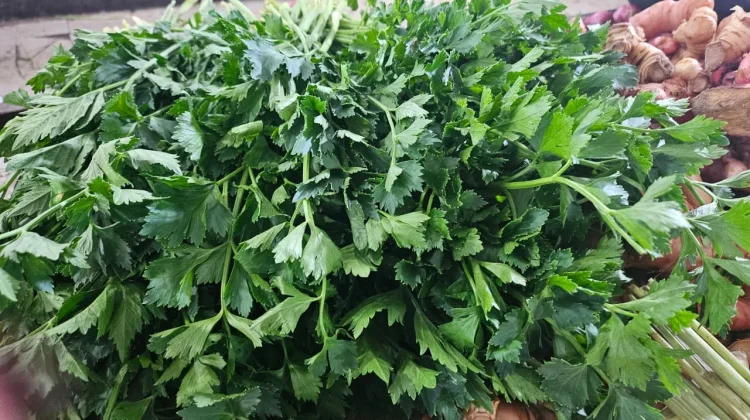 Daun Sop Jadi Andalan Dapur saat Lebaran Idul Fitri