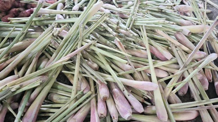 Serai Jadi Kunci Aroma Masakan Lebaran Idul Fitri