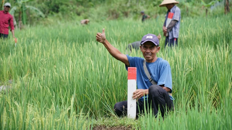 ATR/BPN Imbau Masyarakat Jaga Batas Tanah, Cegah Konflik dan Masalah Hukum