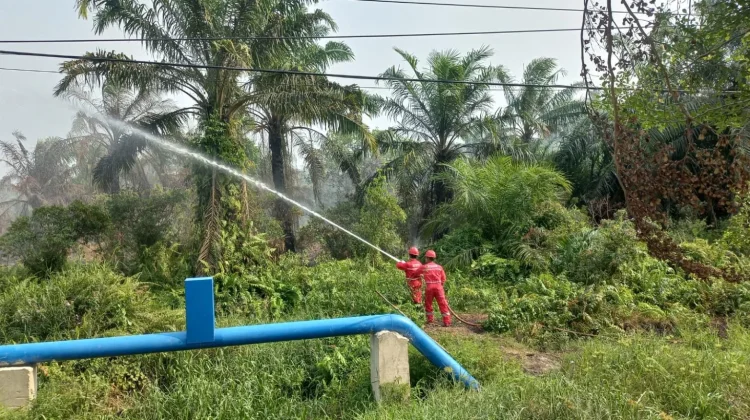 Petugas FERT PHR Berjibaku Ikut Membantu Padamkan Karhutla di Dumai