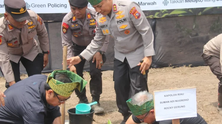Kapolda Riau Tanam Geronggang di Rupat