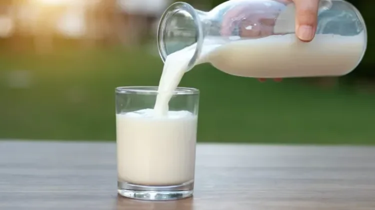 Manfaat Minum Susu bagi Kesehatan dan Waktu yang Tepat untuk Mengonsumsinya