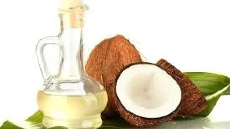 Cara Membuat Minyak Dari Buah Kelapa