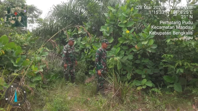 Patroli Cegah Karhutla Terus dilaksanakan Babinsa diwilayah Rawan