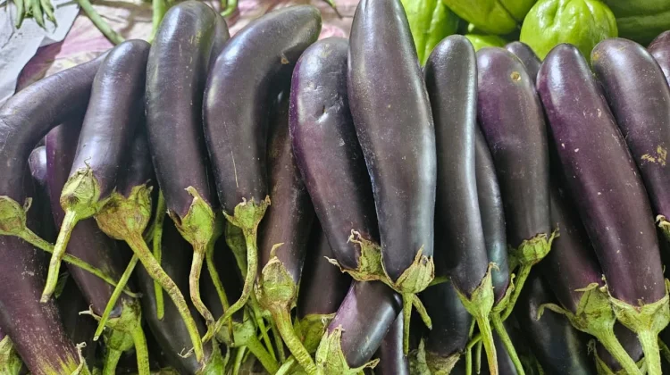 Terong Kaya Manfaat, Ini Tips Mengolahnya agar Tetap Lezat dan Sehat