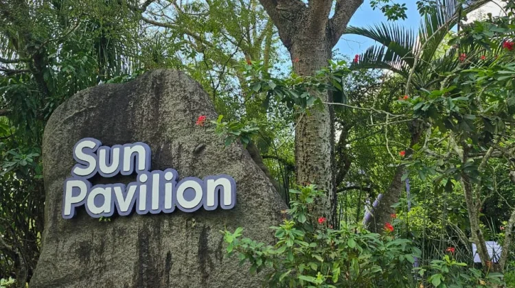 Sun Pavilion Singapura, Surga Kaktus Unik di tengah Kota Modern