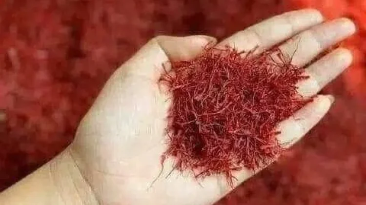 Manfaat Saffron untuk Kesehatan, Rempah Mewah yang Kaya Khasiat