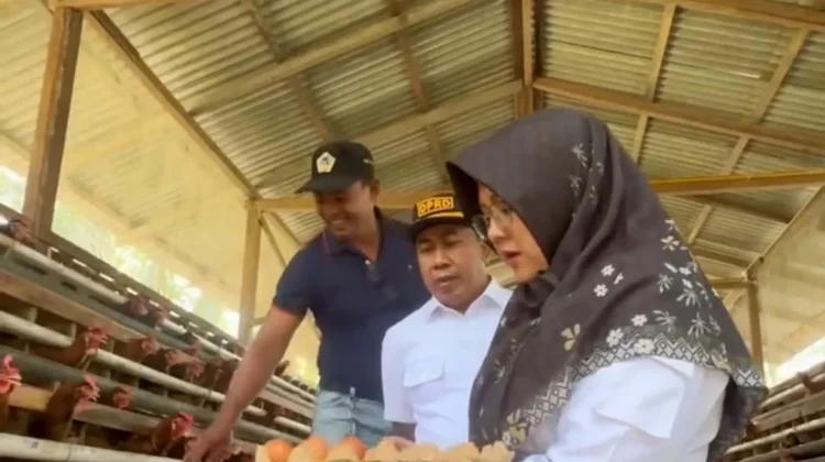 Bupati Afni Dorong Bumkam Dukung Ketahanan Pangan Desa
