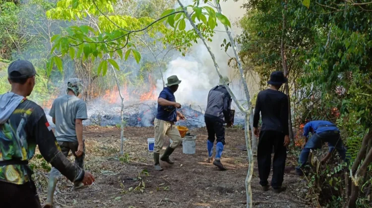Warga Teluk Lancar Harapkan Bantuan Cepat Atasi Karhutla