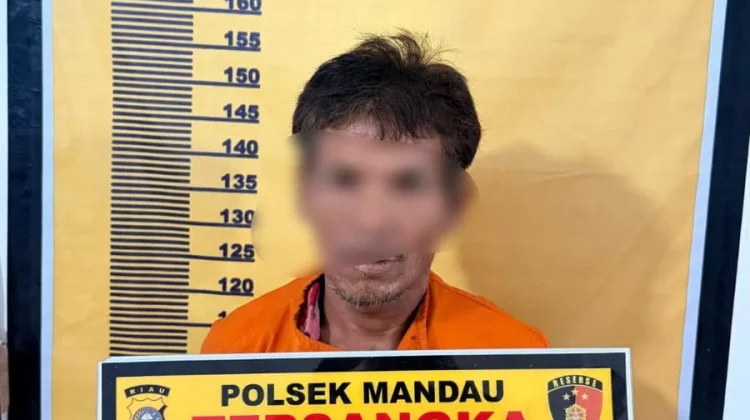 Pria Paruh Baya Ditangkap usai Setubuhi Anak Tirinya
