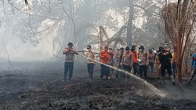 Karhutla Bengkalis Meluas, Ratusan Hektare Terbakar