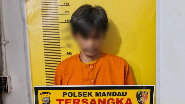 Modus Janjikan Kerja, Pelaku Ditangkap Polisi