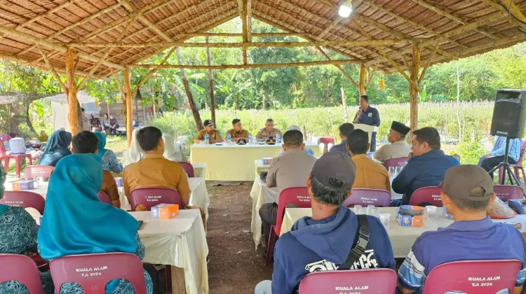 BUMDes Kuala Alam Fokus Kembangkan Budidaya Cabai