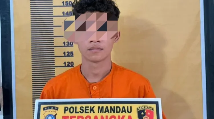 Suami Aniaya Istri di Mandau, Ditangkap Polisi