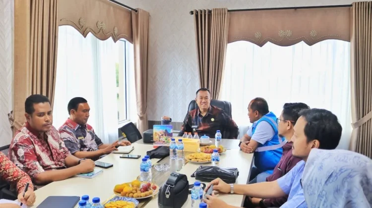 Wabup Meranti Terima Kunjungan PLN Tingkatkan Layanan