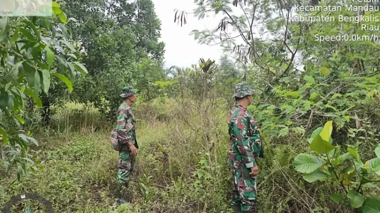 Patroli Cegah Karhutla Terus dilakukan Babinsa Koramil 03/Mandau