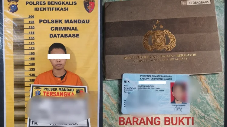 Modus Pinjam Motor, Wanita ini Ditangkap Polisi